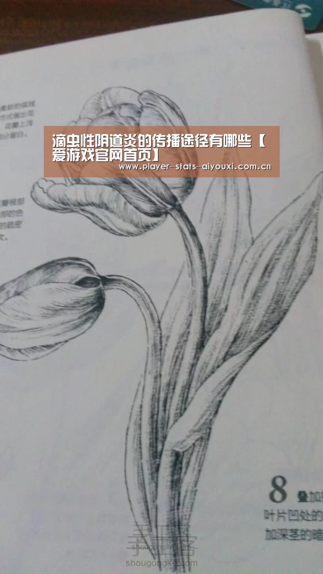 爱游戏官网首页